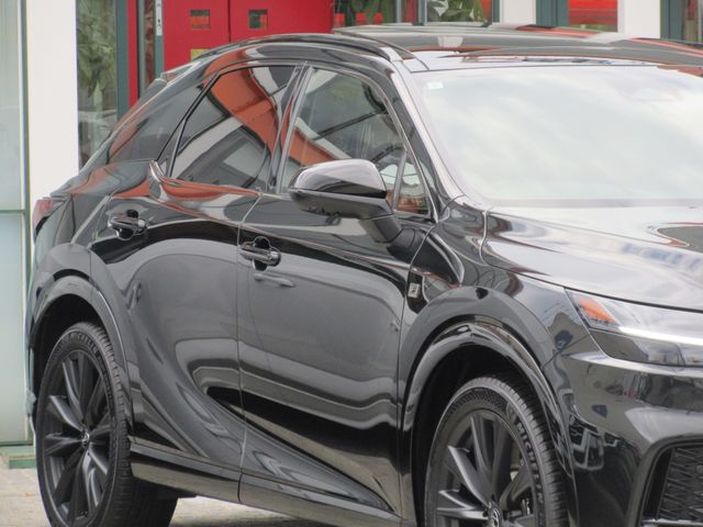 Lexus RX 2023-07 28422-7