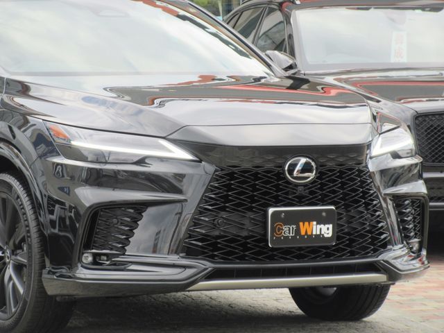 Lexus RX 2023-07 28422-4