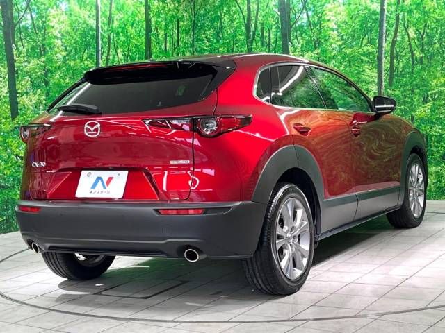 Mazda CX-30 2021-08 193175-17