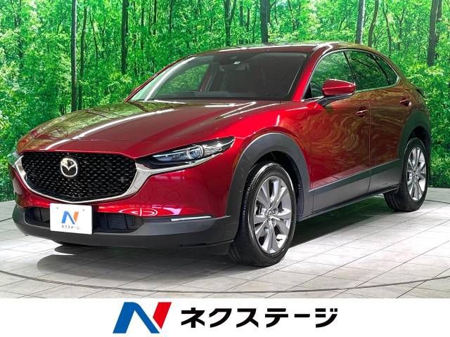 Mazda CX-30 2021-08 193175-0