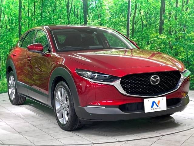 Mazda CX-30 2021-08 193175-16