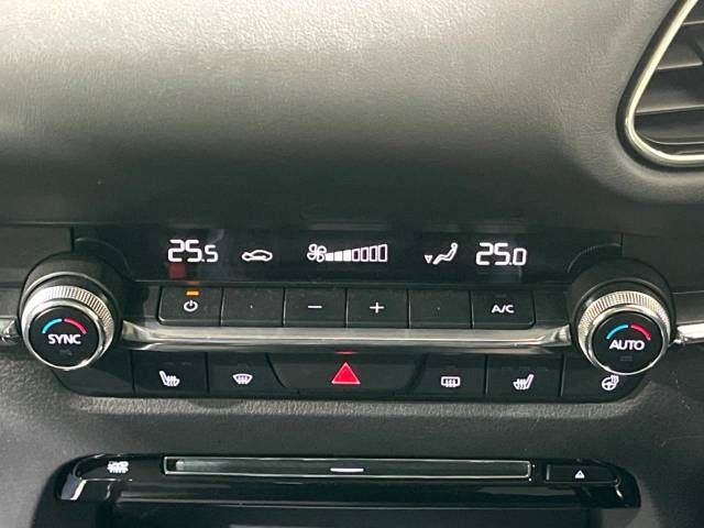 Mazda CX-30 2021-08 193175-3