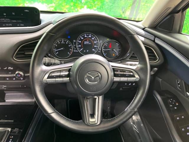 Mazda CX-30 2021-08 193175-11