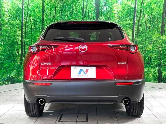 Mazda CX-30 2021-08 193175-15