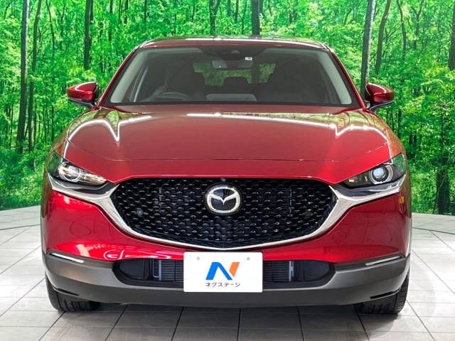 Mazda CX-30 2021-08 193175-14