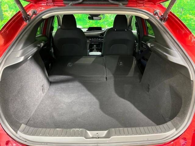 Mazda CX-30 2021-08 193175-10
