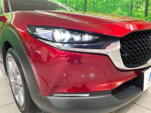 Mazda CX-30 2021-08 193175-12