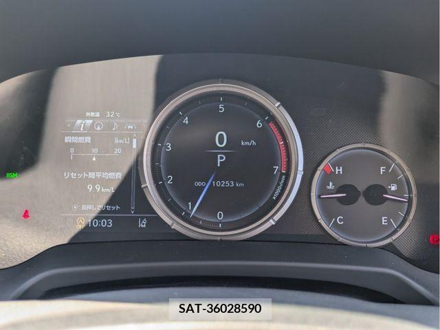 Lexus RX 2021-03 334580-25