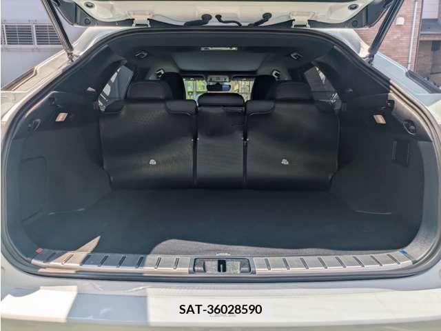 Lexus RX 2021-03 334580-18