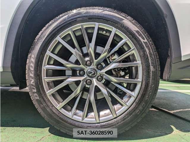 Lexus RX 2021-03 334580-8