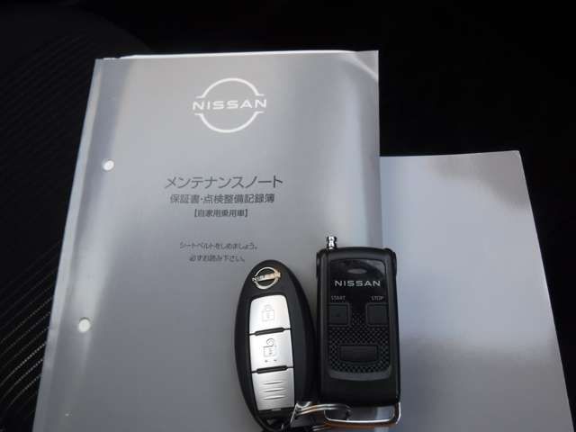 Nissan NOTE 2021-03 20954-14