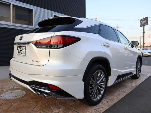 Lexus RX 2022-07 195475-6