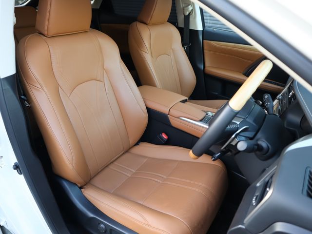 Lexus RX 2022-07 195475-8