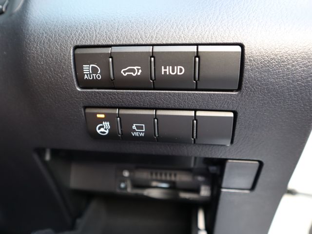 Lexus RX 2022-07 195475-19