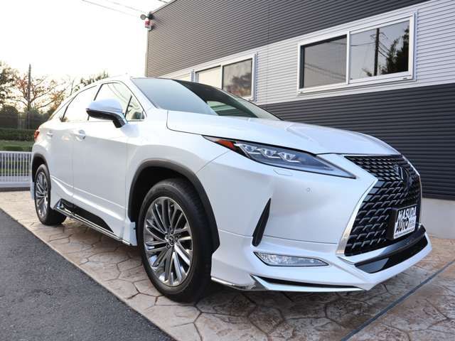 Lexus RX 2022-07 195475-2