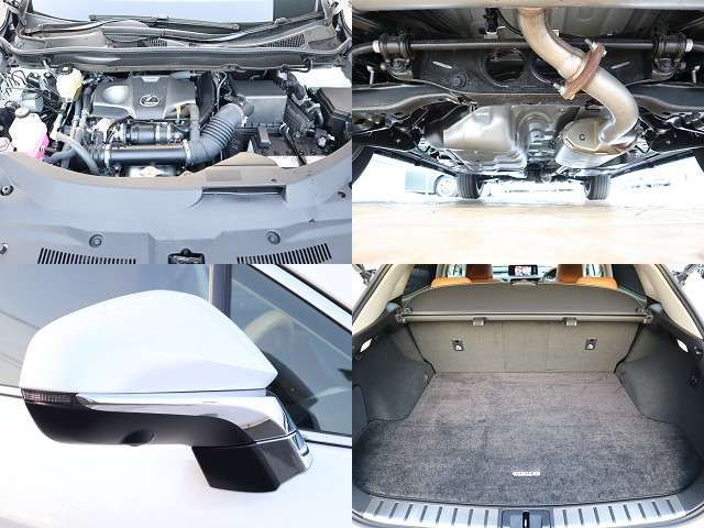 Lexus RX 2022-07 195475-26