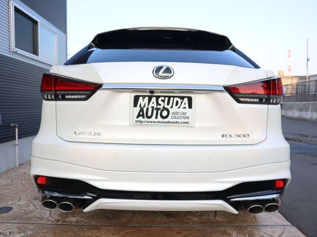 Lexus RX 2022-07 195475-5