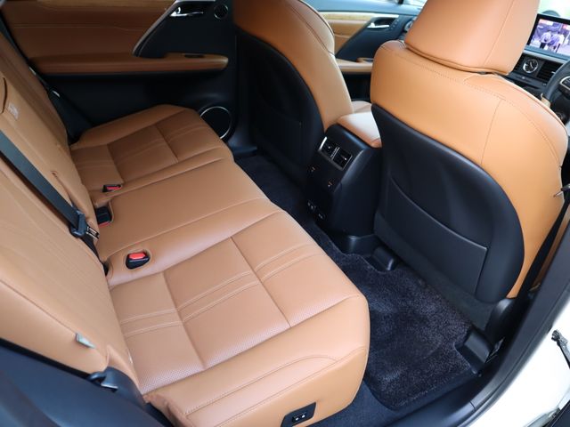 Lexus RX 2022-07 195475-10