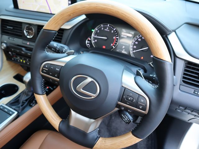 Lexus RX 2022-07 195475-12