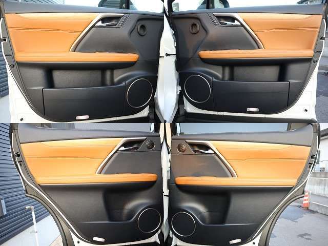 Lexus RX 2022-07 195475-25