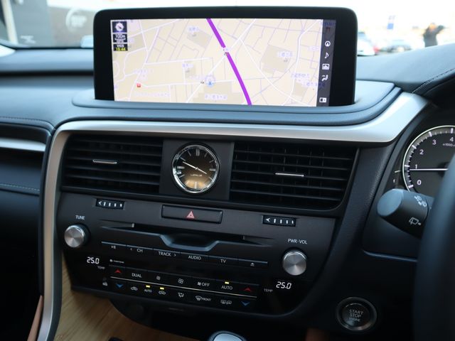 Lexus RX 2022-07 195475-13