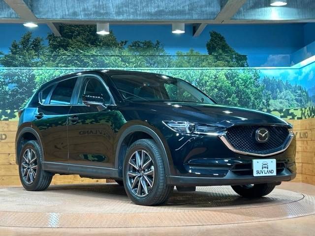 Mazda CX-5 2017-03 189903-16