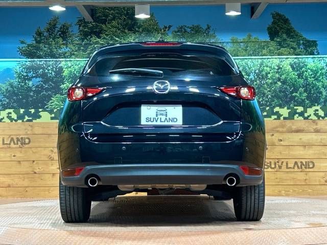 Mazda CX-5 2017-03 189903-15