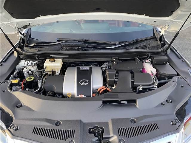 Lexus RX 2016-10 192346-17