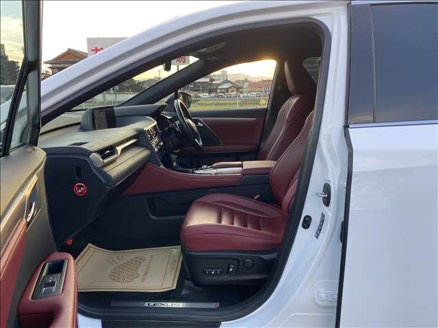 Lexus RX 2016-10 192346-4
