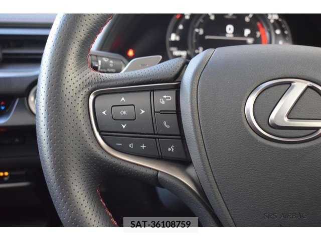 Lexus UX 2020-01 221899-15