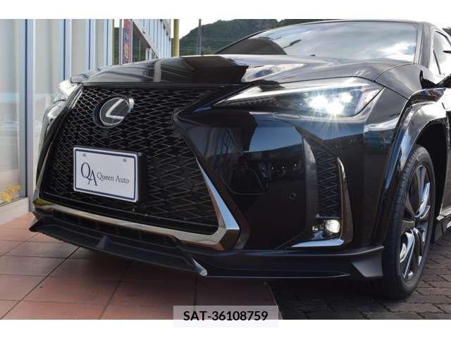 Lexus UX 2020-01 221899-8