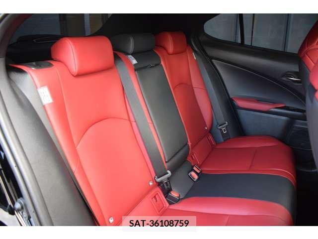 Lexus UX 2020-01 221899-5