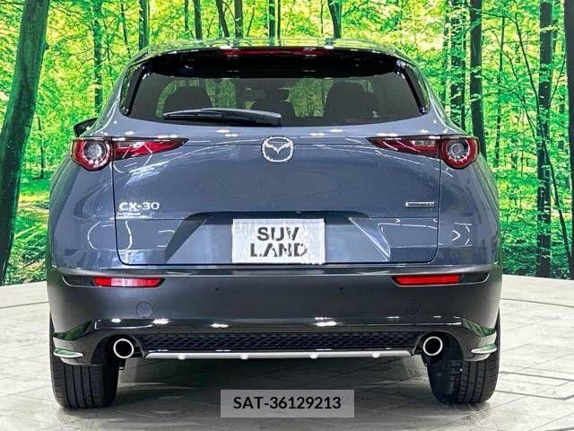 Mazda CX-30 2021-09 343859-15