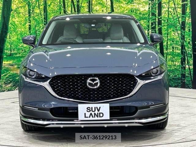 Mazda CX-30 2021-09 343859-14