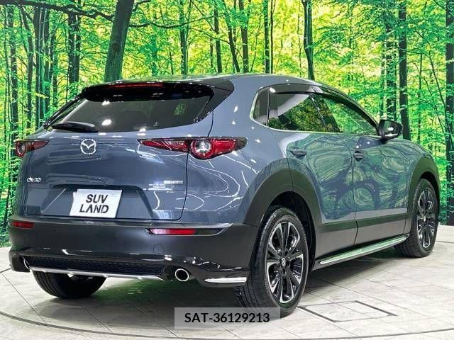 Mazda CX-30 2021-09 343859-17