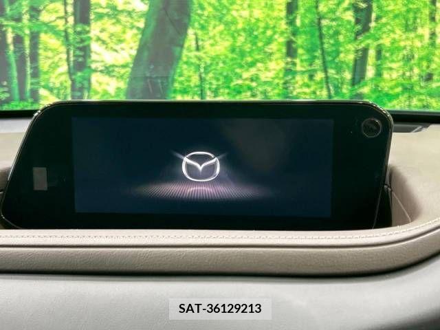 Mazda CX-30 2021-09 343859-2