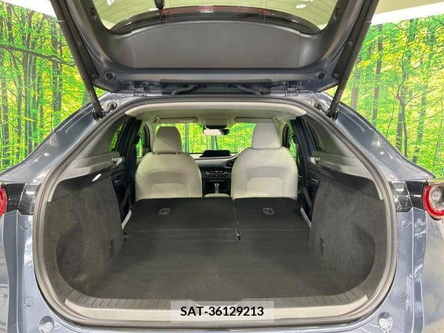 Mazda CX-30 2021-09 343859-11
