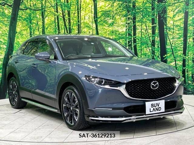 Mazda CX-30 2021-09 343859-16