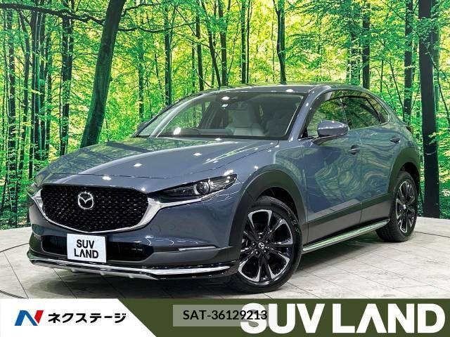 Mazda CX-30 2021-09 343859-0
