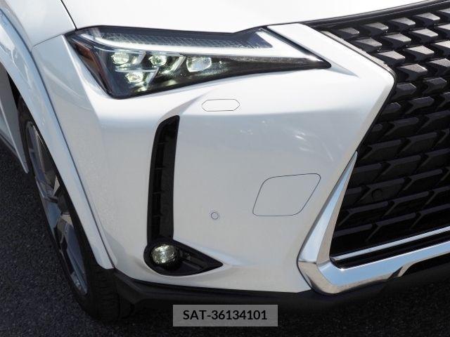 Lexus UX 2022-07 275944-7