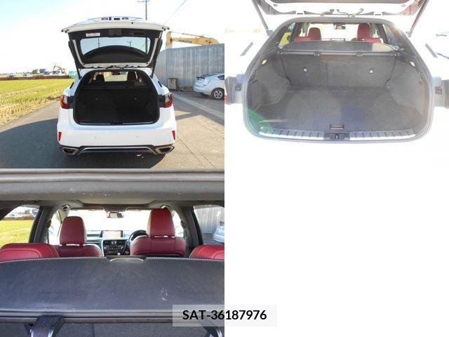 Lexus RX 2017-08 205215-10