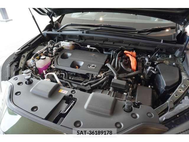 Lexus NX 2023-02 388357-11