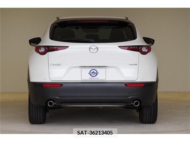 Mazda CX-30 2023-02 302105-22