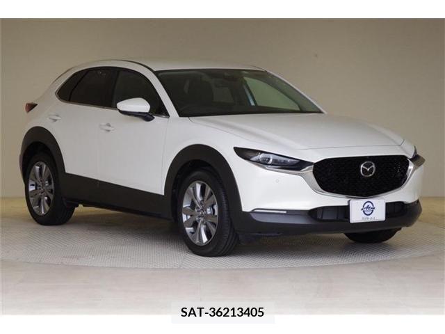 Mazda CX-30 2023-02 302105-20