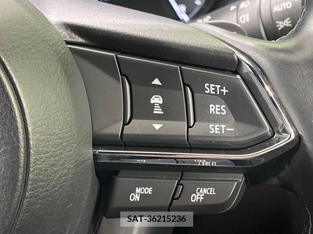 Mazda CX-8 2019-03 266291-5