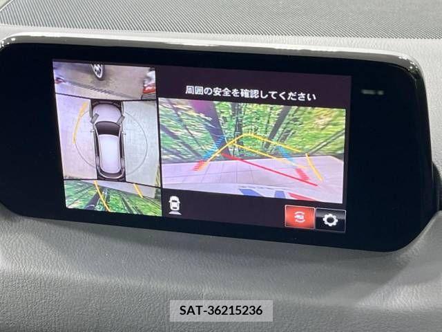 Mazda CX-8 2019-03 266291-3