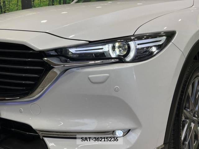Mazda CX-8 2019-03 266291-13
