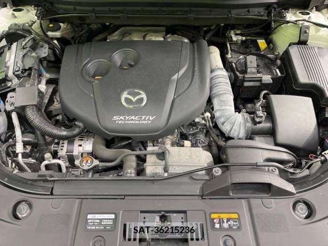 Mazda CX-8 2019-03 266291-18