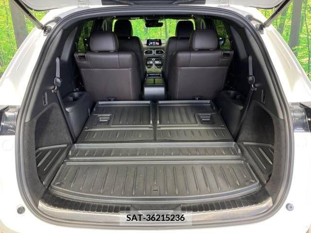 Mazda CX-8 2019-03 266291-11
