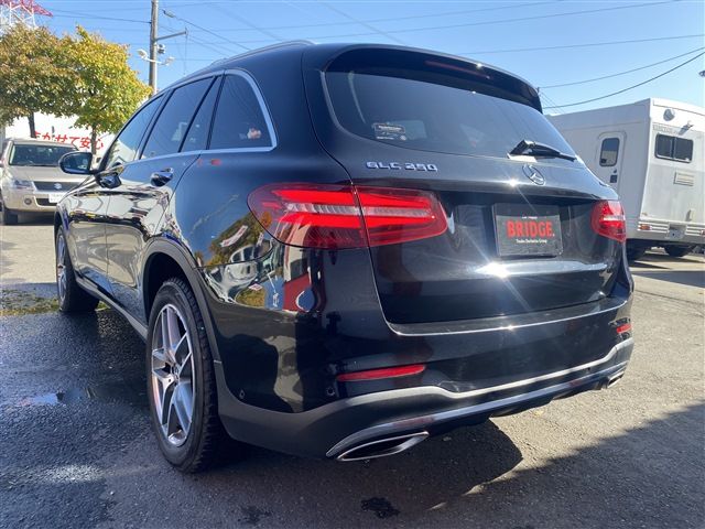 Mercedes Benz GLC-CLASS 2018-02 21521-4